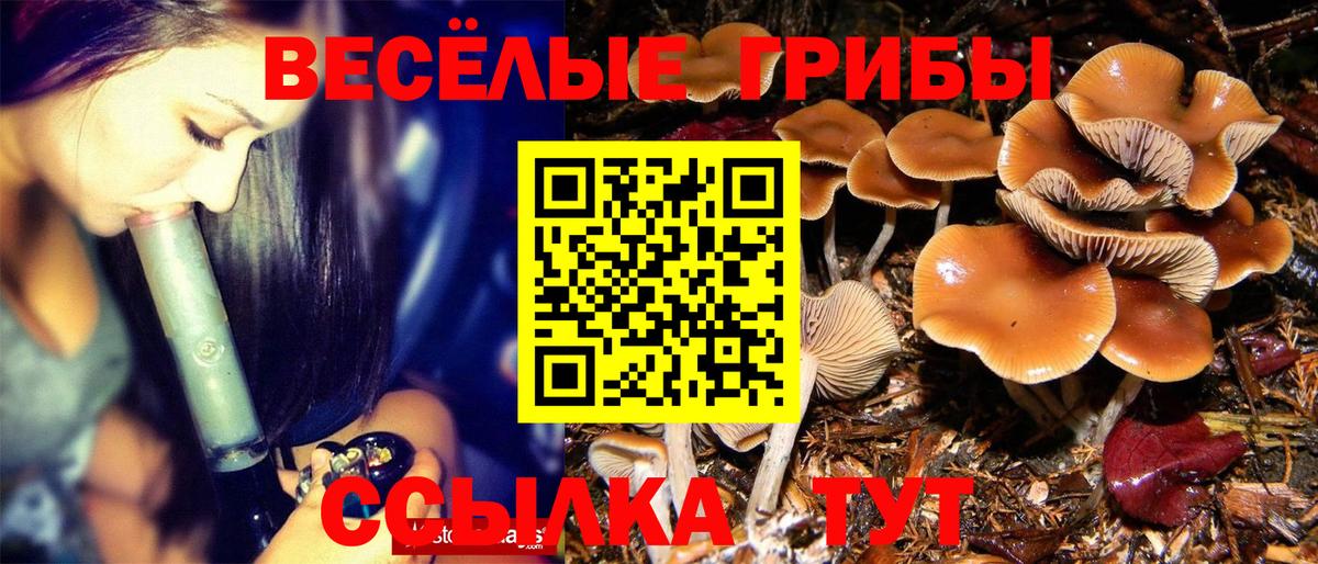Псилоцибиновые грибы Psilocybine cubensis  Вход с VPN  Ульяновск 
